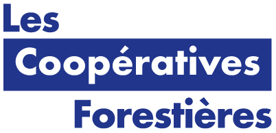 logo-1